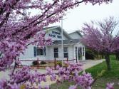 Spring revival 2008